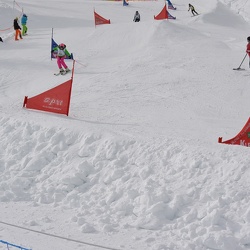 Steirische Snowboard- und Skicrossmeisterschaften